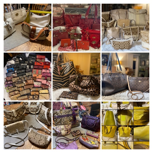 Meet your Posher, Terra - Picture 7 of 14